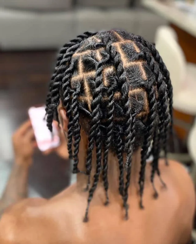 2 Strand Twists